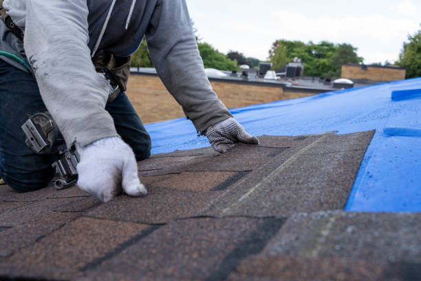 Best Metal Roofing Installation  in Mcqueeney, TX